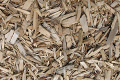 biomass boilers Padworth